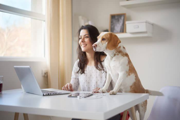 uma mulher trabalhando de casa através do seu notebook e um cachorro ao lado