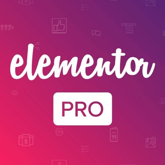 elementor pro é um programa que cria sites profissionais mesmo sem você saber programar